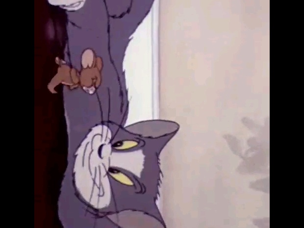 where to download tom and jerry episodes where to download tom and jerry episodes