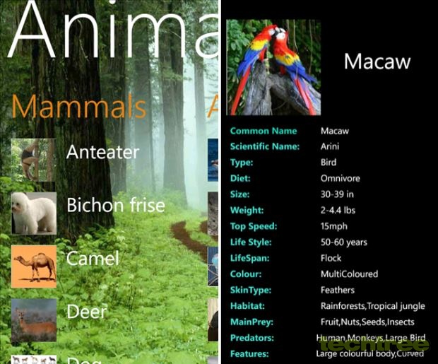 5 Educational Windows Phone Apps For Kids