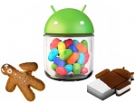 Android Jelly Bean Now Adopted By Majority Of Smartphones