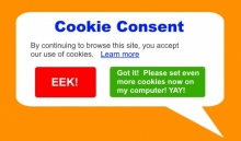 EU Ruling on Cookie Consent Needs to Be Replicated