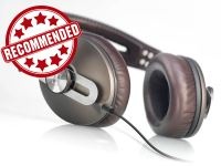 Sennheiser MOMENTUM Review