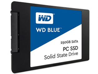 Western Digital Blue 250 GB SSD Review